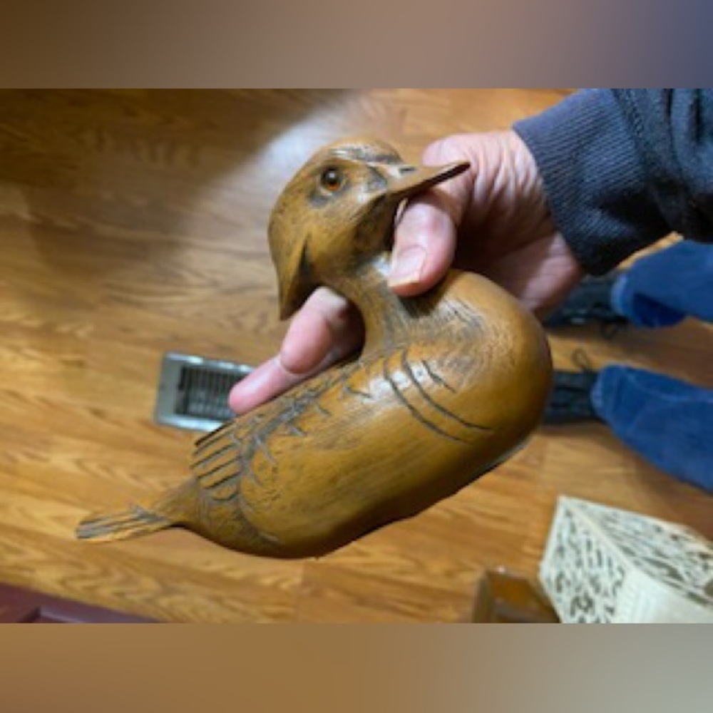 Duck Decor
